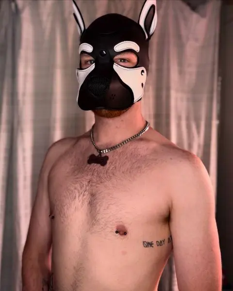 Photo de profil publiée avec l'annonce